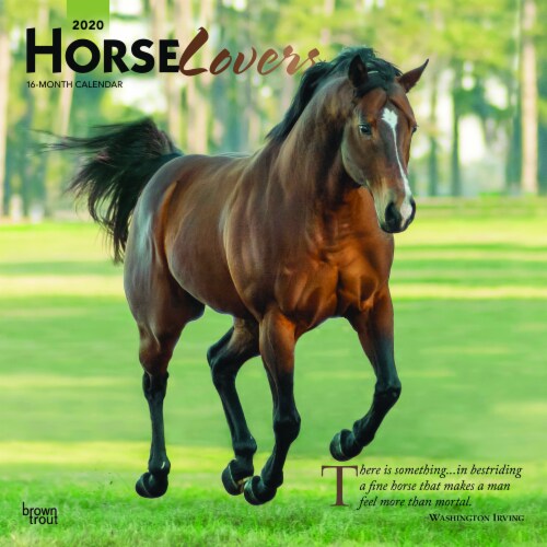 2020 Horse Lovers 16-Month Wall Calendar by BrownTrout Perspective: front