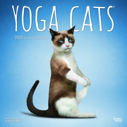 2020 Yoga Cats 16-Month Wall Calendar by BrownTrout Perspective: front