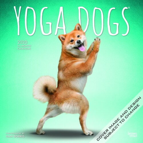 2020 Yoga Dogs 16 Month Wall Calendar by BrownTrout Perspective: front