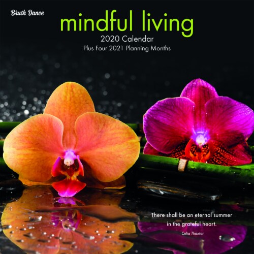 2020 Mindful Living 16-Month Wall Calendar by BrownTrout Perspective: front
