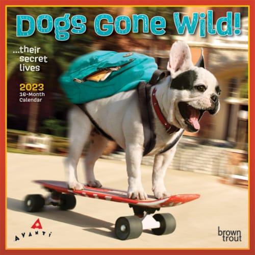 BrownTrout 2023 Dogs Gone Wild Mini Calendar Perspective: front