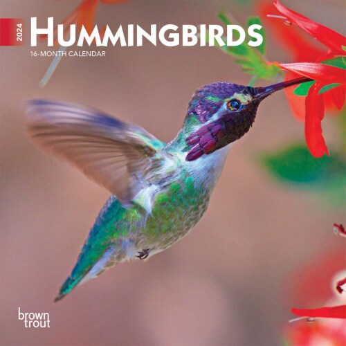 BrownTrout 16 Month Hummingbirds 2024 Mini Calendar, 7 x7 - Fred Meyer