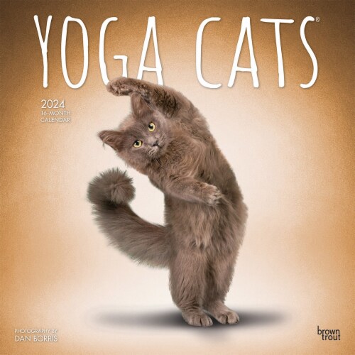 BrownTrout 16 Month Yoga Cats 2024 Calendar Perspective: front