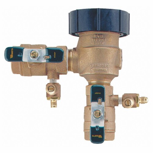 Watts Anti-Siphon Backflow Preventer,Watts 800  800M4QT-1 Perspective: front