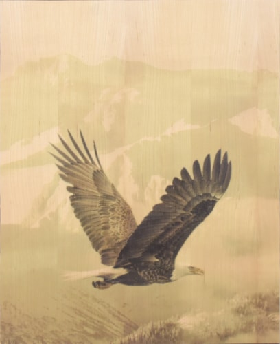 Crystal Art Gallery Buffalo/Eagle Box Top Perspective: front