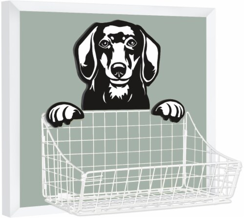 Dog Basket Perspective: front