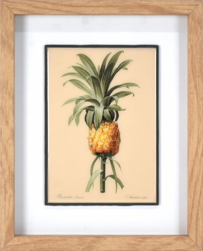 Crystal Art Gallery Bromelia Ananas Pineapple Wall Art Perspective: front