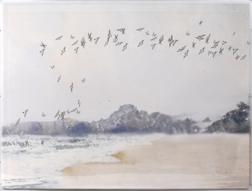 Crystal Art Gallery Coastline Birds Wall Art Perspective: front