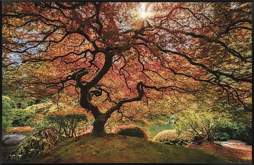 Crystal Art Gallery Red Tree Wall Decor Perspective: front