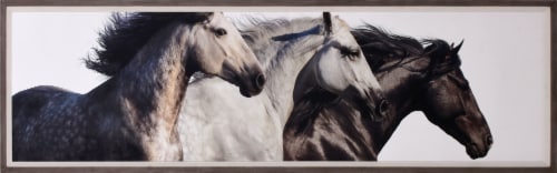 Crystal Art Gallery Herd Nested Framed Wall Decor Perspective: front