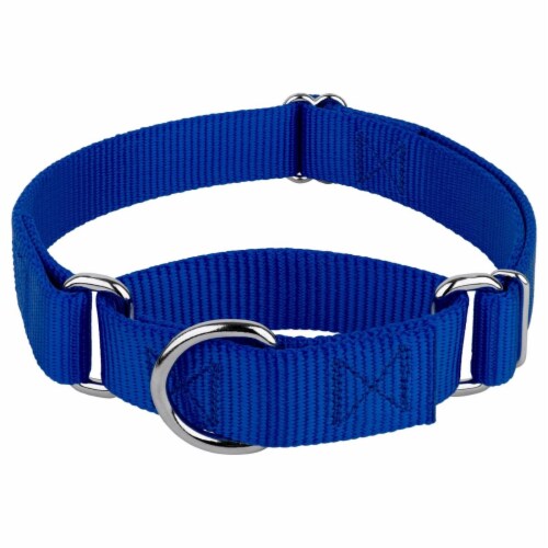 Royal Blue Nylon Webbing Collar with Choice of Buckle