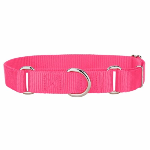 Extra large martingale dog collars deals