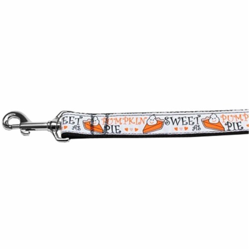 Mirage Pet 125-212 5804 Pumpkin Pie Nylon Dog Leash, 0.63 in. x 4 ft. Perspective: front