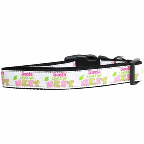 Cat collars near me cheap