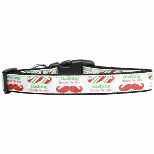 Mirage Pet 125-228 SM Stashing through the Snow Nylon Dog Collar, Small Perspective: front