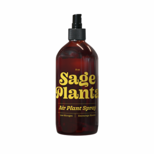 Air Plant Nourishing Spray Tillandsia Care Essential Low