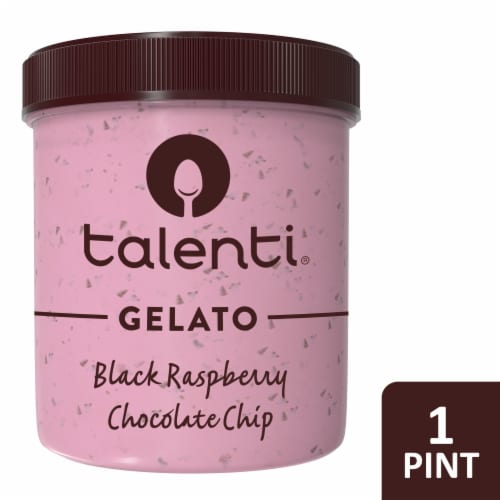 Talenti Black Raspberry Chocolate Chip Gelato Pint Perspective: front