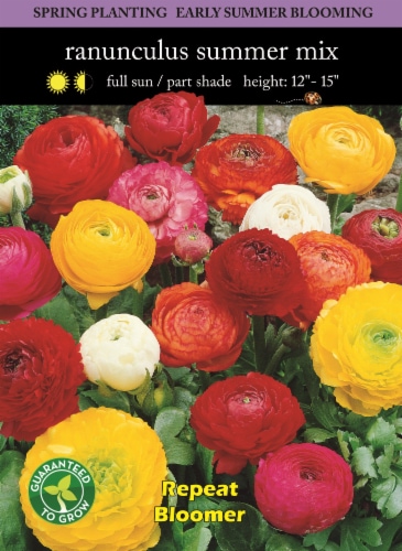 Ranunculus Mix Seeds Perspective: front