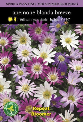Anemone Blanda Breeze Mix Perspective: front