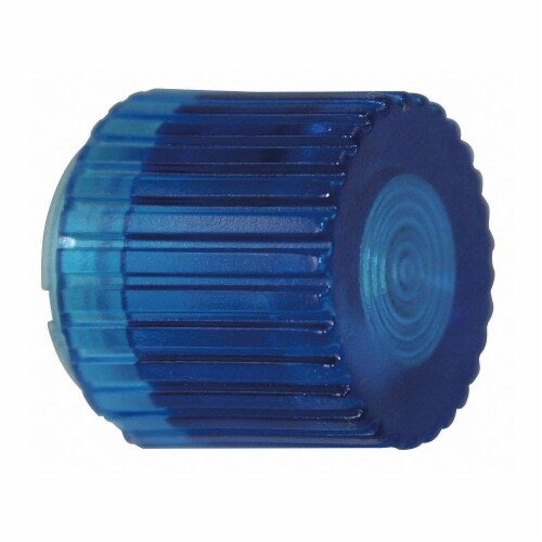 Dayton Push Button Cap,Illuminated,30mm,Blue  30G471 Perspective: front