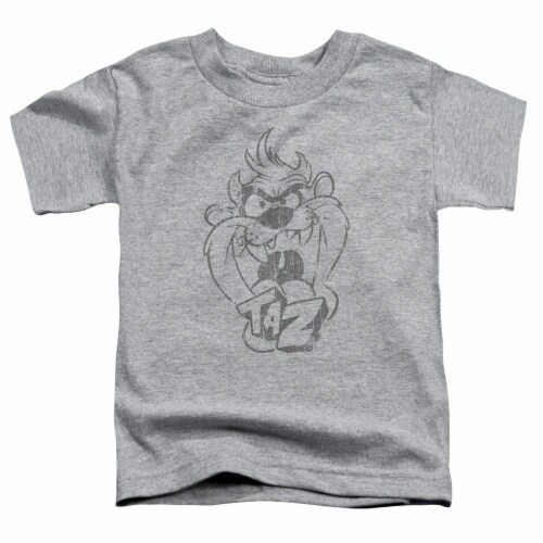 Looney Tunes Faded Taz T Shirt Looney Tunes Faded Taz T Shirt