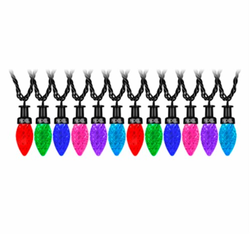 Gemmy ColorMotion Deluxe Multi Color String Lights Christmas Décor Perspective: front