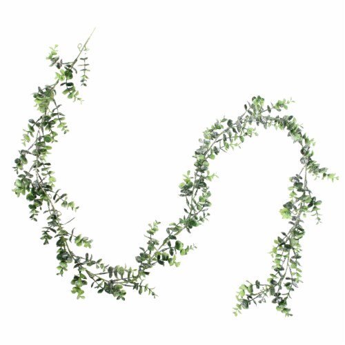 Northlight 6ft Green and Silver Glitter Artificial Eucalyptus Garland Perspective: front
