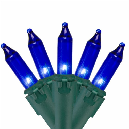 Northlight 35-Count Blue Mini Christmas Light Set, 7ft Green Wire Perspective: front