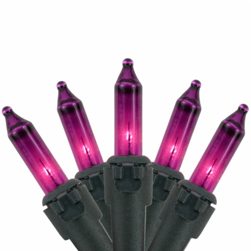 Northlight 35-Count Purple Mini Christmas Lights, 7ft Black Wire Perspective: front