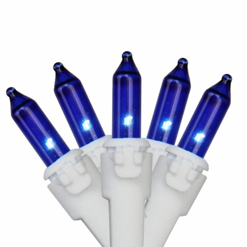 Northlight 50-Count Blue Mini Christmas Light Set, 10ft White Wire Perspective: front