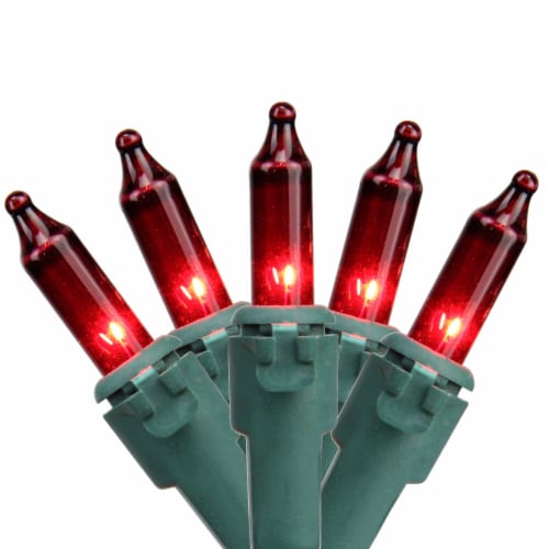 Northlight 100-Count Red Mini Christmas Lights Set, 20.25ft Green Wire Perspective: front