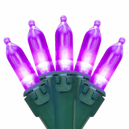 Northlight 100-Count Purple LED Mini Christmas Lights, 33ft Green Wire Perspective: front