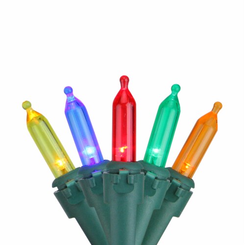 Northlight 50 Multi-Color LED Mini Christmas Lights - 16.25 ft Green Wire Perspective: front