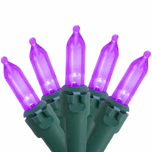 Northlight 50ct Purple LED Mini Christmas Lights, 16.25ft Green Wire Perspective: front