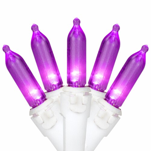 Northlight 50 Purple LED Mini Christmas Lights - 16.25 ft White Wire Perspective: front