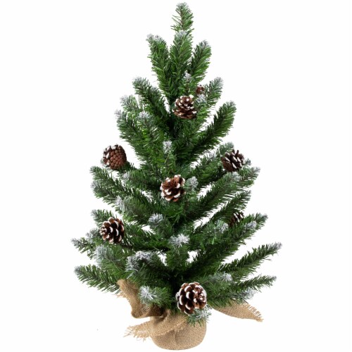 Northlight 24  Frosted Norway Pine with Pine Cones Medium Artificial Christmas Tree - Unlit Perspective: front