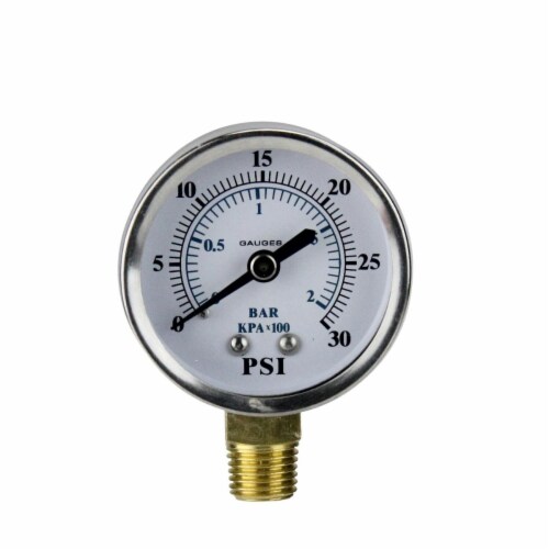 Pool Central 32727584 2.75 in. Side Mount Stainless Steal Pressure Gauge 0-30 PSI Perspective: front