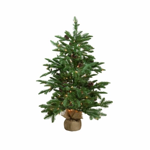 Northlight Real Touch™️ PreLit Viella Norway Spruce Artificial Potted