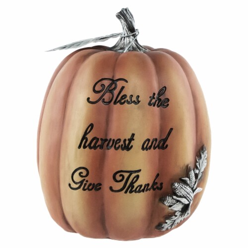 Northlight 10 Orange Bless the Harvest Pumpkin Fall Tabletop Decoration Perspective: front