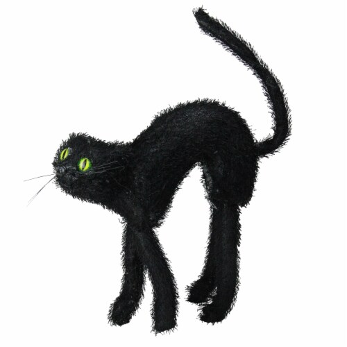 Scary shop black cat