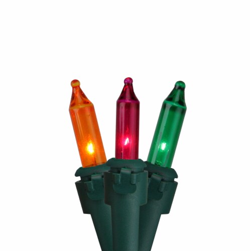 Northlight 100-Count Multicolor Mardi Gras Mini Christmas Light Set, 20.6ft Green Wire Perspective: front