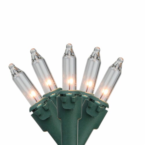 Northlight 4 x 6 Clear Net Mesh Style Christmas Lights Green