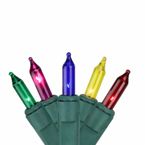 Northlight 4' x 6' Multi-Color Mini Net Mesh Style Christmas Lights, Green Wire Perspective: front