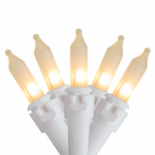 Northlight 50 Count Clear Frosted Mini Christmas Light Set, 24.5 ft White Wire Perspective: front