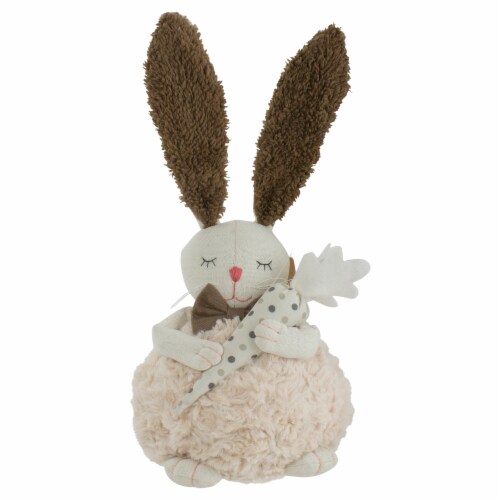 Northlight 14  Beige and Brown Plush Easter Bunny Rabbit Holding a Carrot Spring Figure Perspective: front