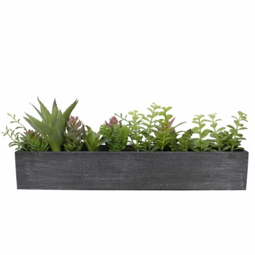 NorthLight 34738374 23 in. Artificial Mixed Succulent Plants in Rectangular Planter Perspective: front