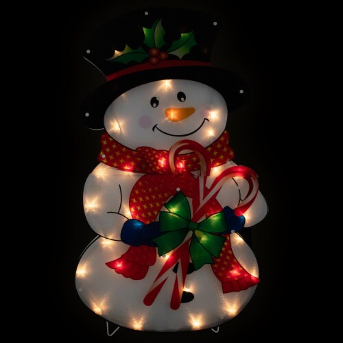 Northlight Set of 3 LED Lighted Penguins Building Snowman Outdoor