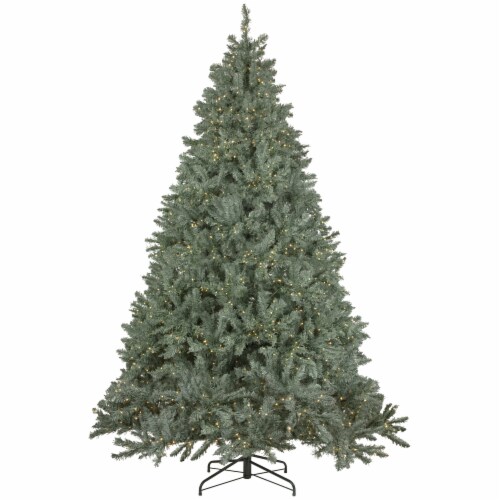 Northlight 7.5' PreLit Full Newport Spruce Artificial Christmas Tree
