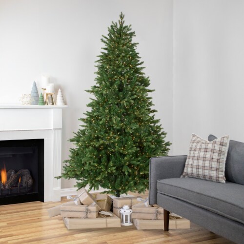 Northlight 7.5' Pre-Lit Full Riverton Fir Artificial Christmas Tree, Warm White Lights Perspective: front