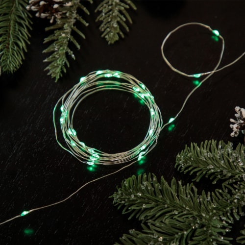 Fred meyer string lights hotsell